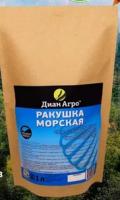 Морская ракушка 1 л.